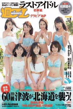 猫咪地域网名入口