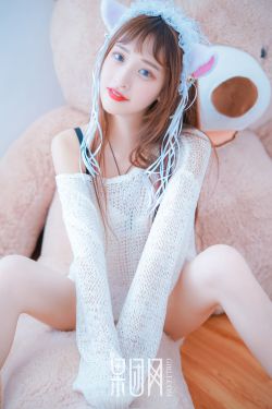 独立纵队