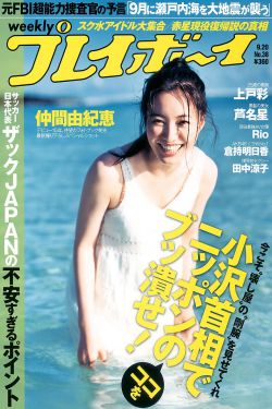 清穿锦鲤十四福晋