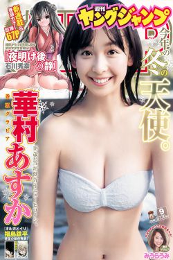 从地狱来的法官电视剧免费观看