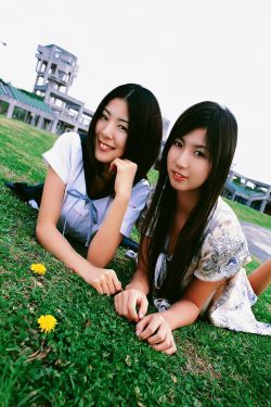 公交车系列500全集