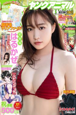 车轮饼